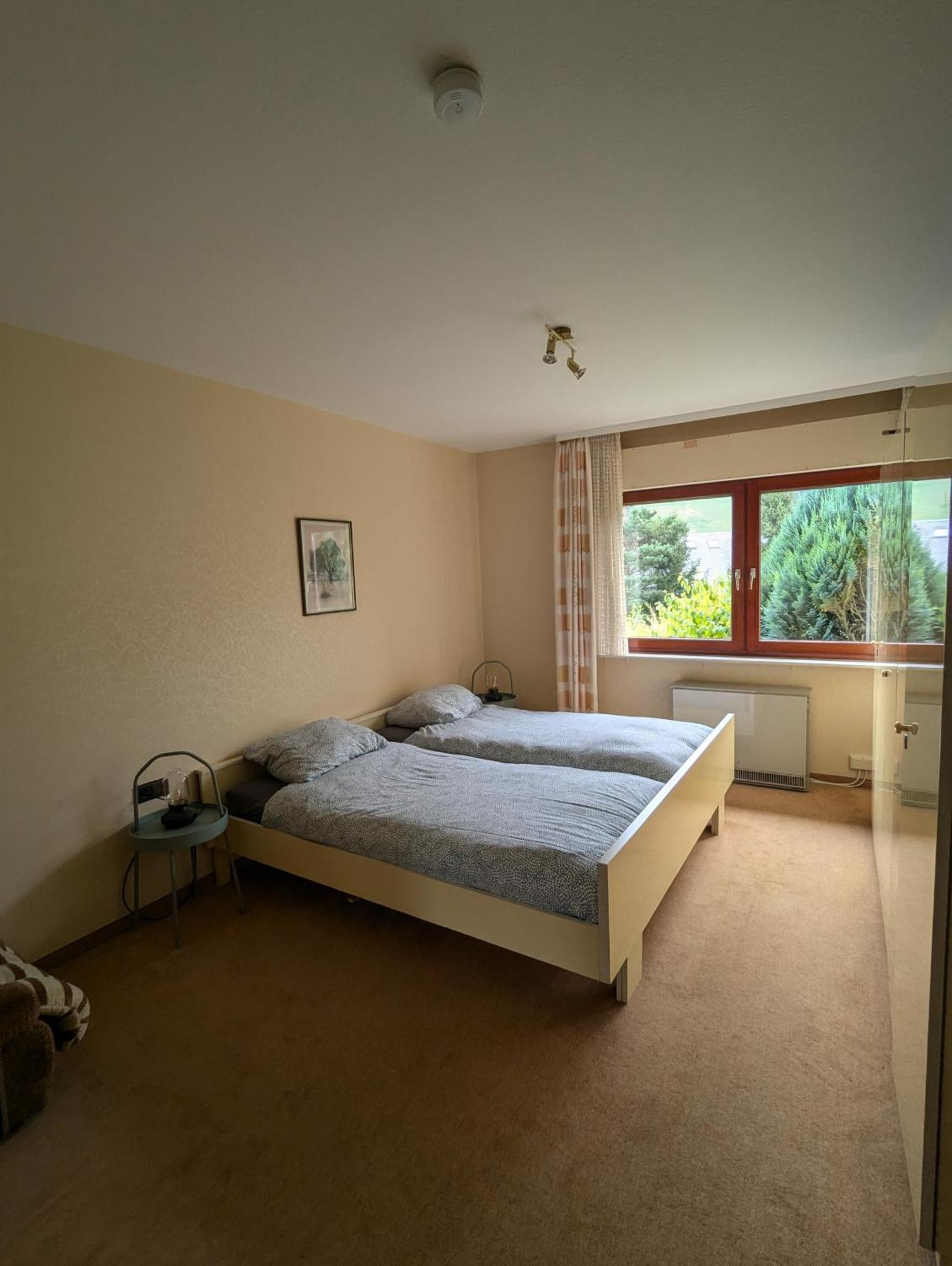 Haus Hannelore Willingen  Exteriér fotografie