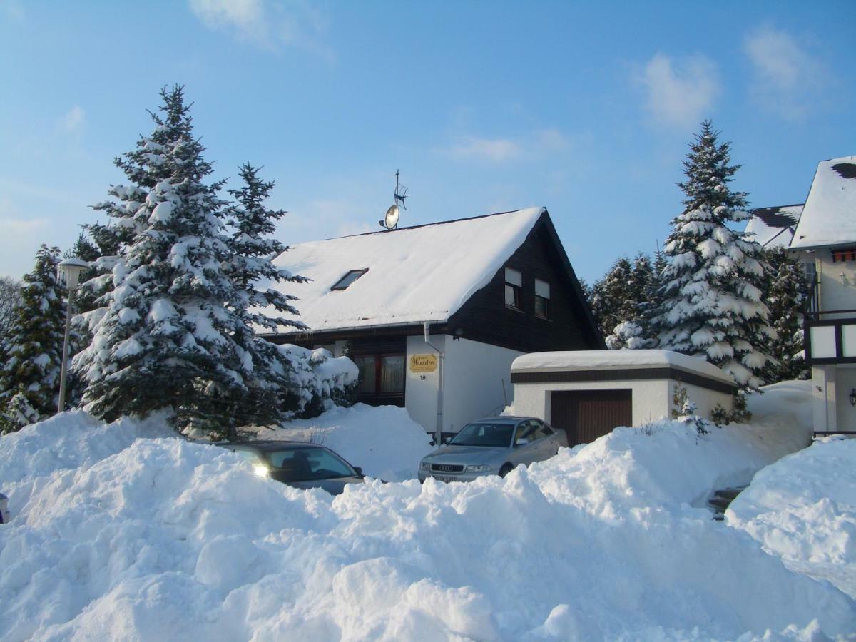 Haus Hannelore Willingen  Exteriér fotografie
